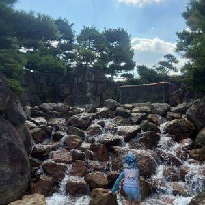 【兵庫県】SNSで話題！ワンオペでも連れて行きやすい水遊びスポット
