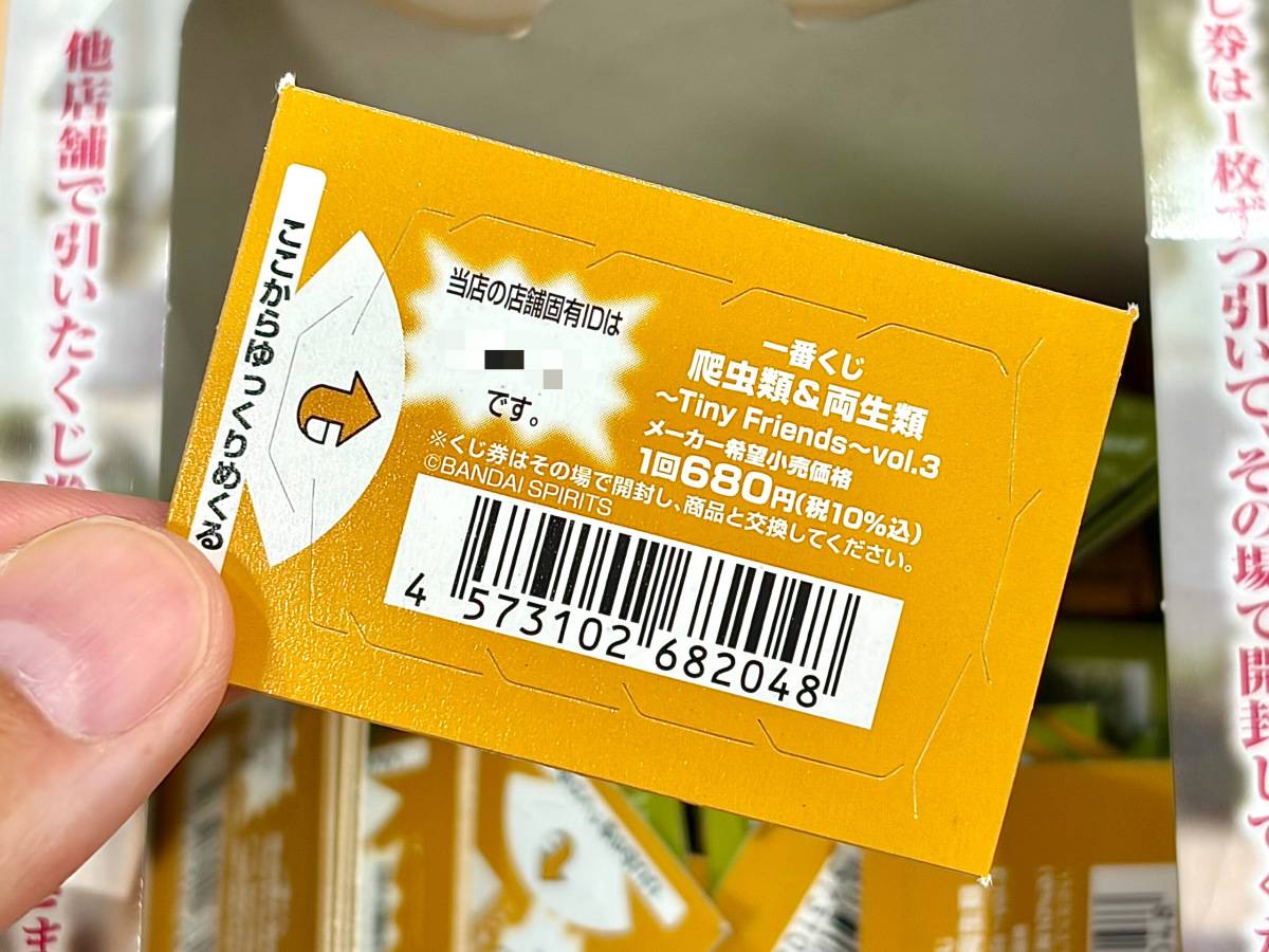 写真③