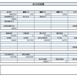 【リアル給与明細】経営企画。物価高で苦しい……。今の収入でも貯金を増やせますか？
