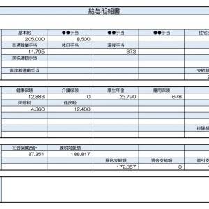 【リアル給与明細】ドラッグストアの店員。収入がカード払いに消える……。少しでも手元に残すにはどうする？