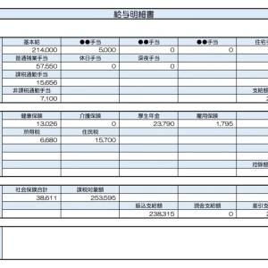 【リアル給与明細】総合職。収入を趣味に費やしてしまう……。上手に貯蓄を増やすポイントは？