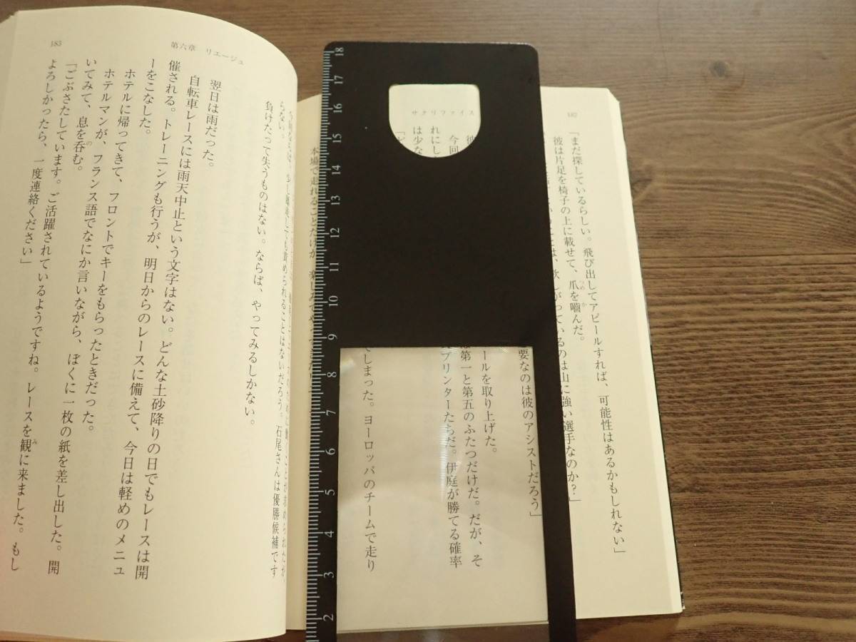 ダイソー：ブックマーク型ルーペ(約2.0倍)