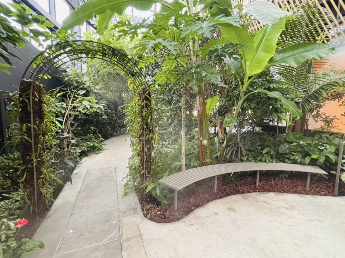 KIRISHIMA GREENSHIP icoia 植物園