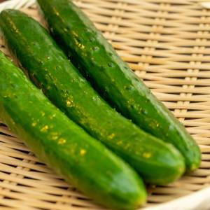 夫がずっとコレ食べてる。切って和えるだけの「きゅうり」の簡単レシピ