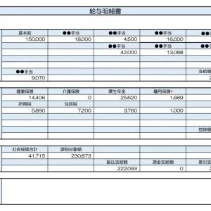 【リアル給与明細】介護職。転職して収入がダウン……。備えとして貯蓄型保険に入った方がいいでしょうか？