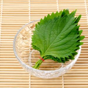 もう3回も作ってしまった。本当は教えたくない「大葉」の簡単レシピ