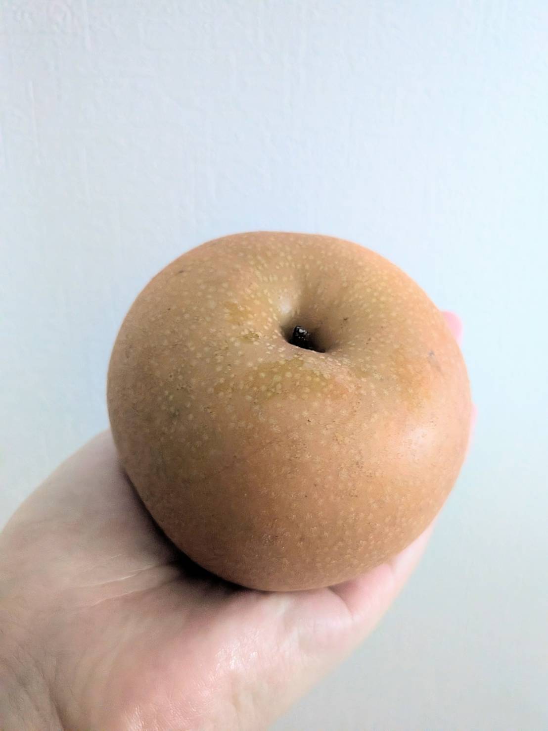 手にのせた梨