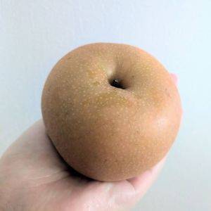 【秋の味覚】季節の果物をいただく楽しみ♪届いた「梨」に家族で感動