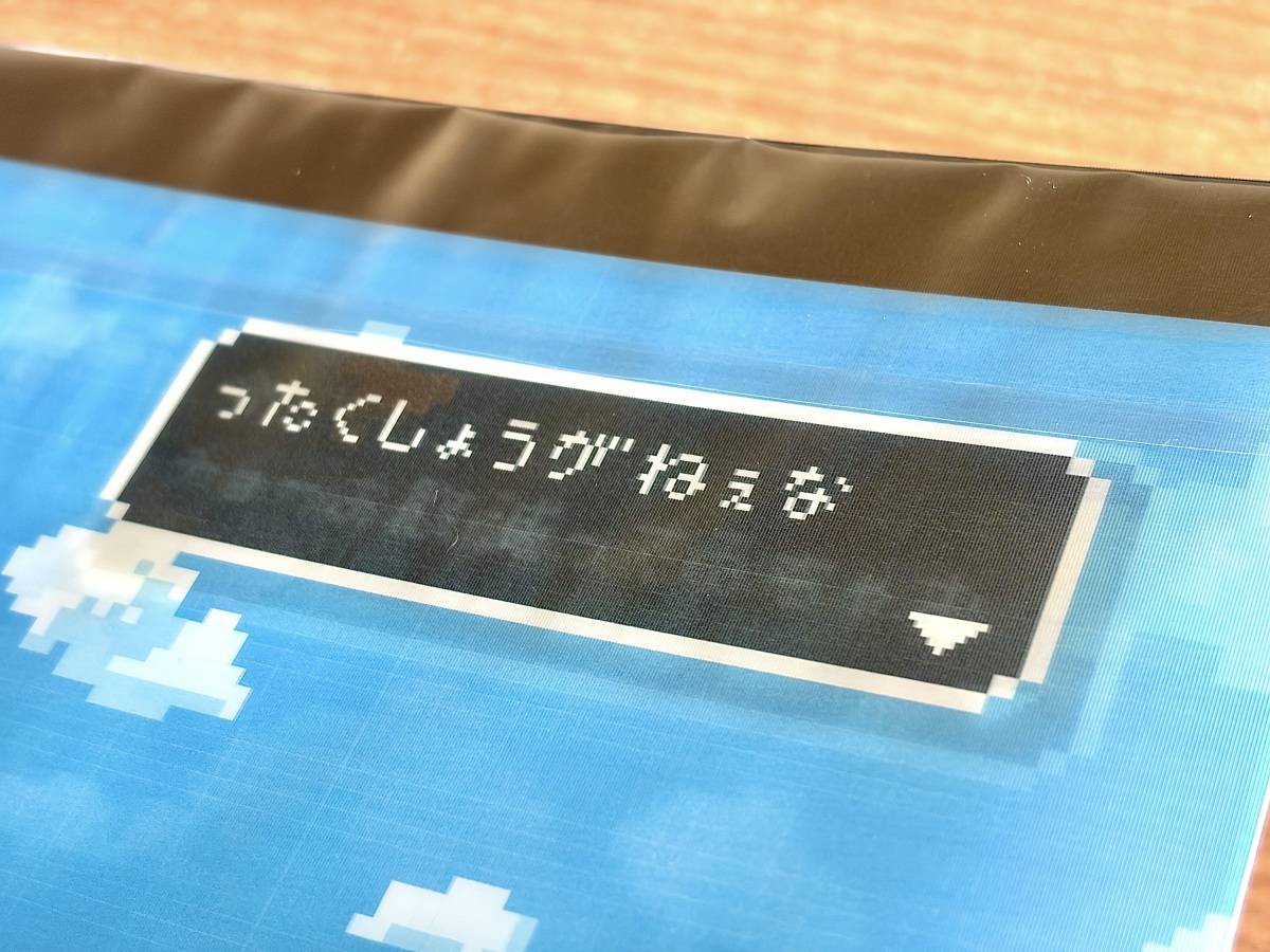 写真⑧