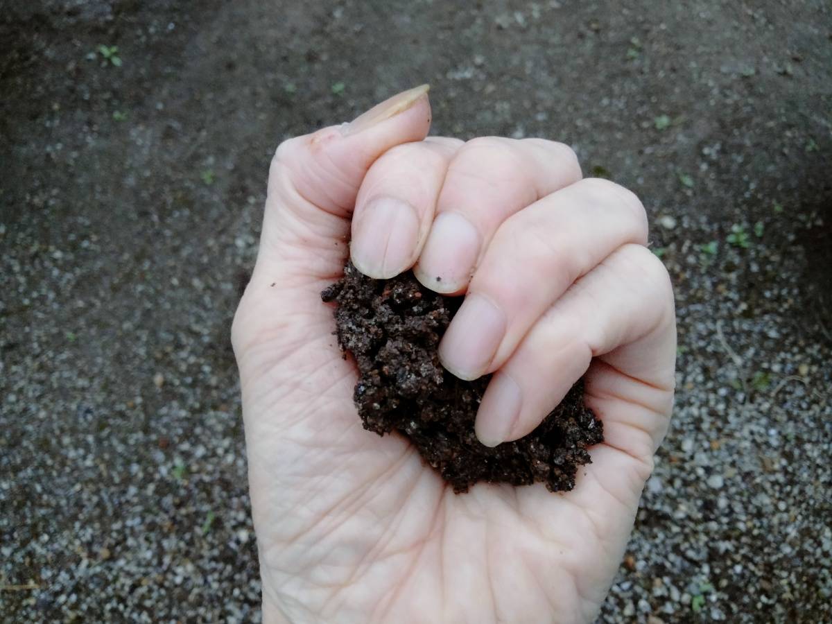 土を手で握って固さを確かめている様子