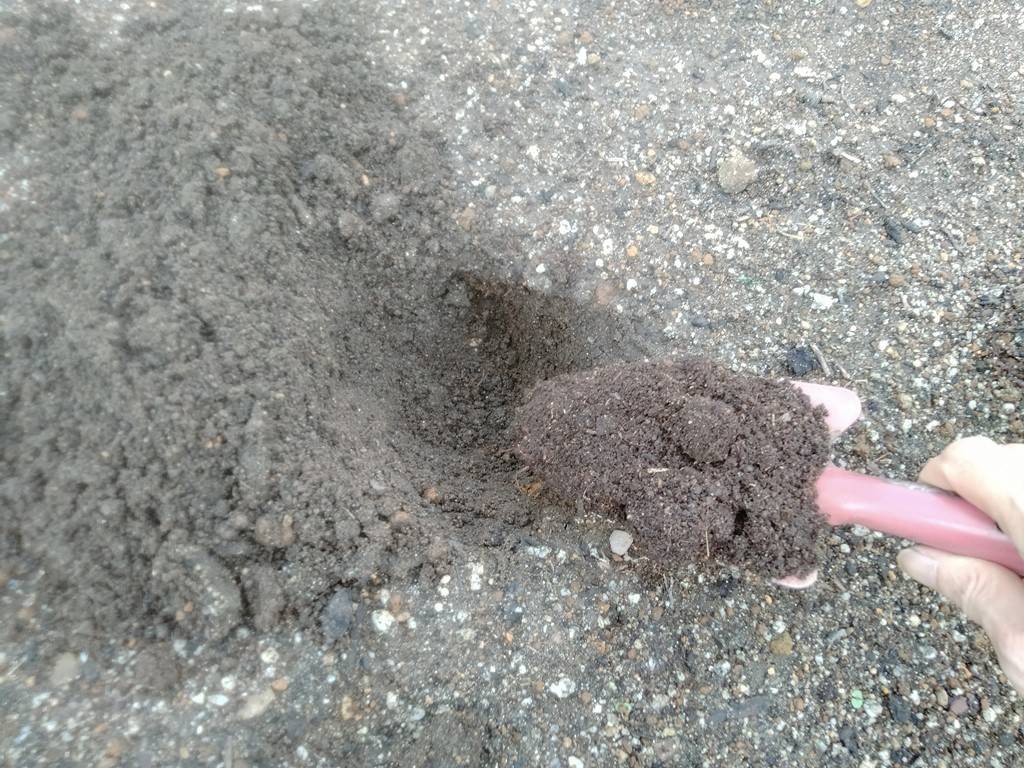 有機物を入れてふかふかになった土