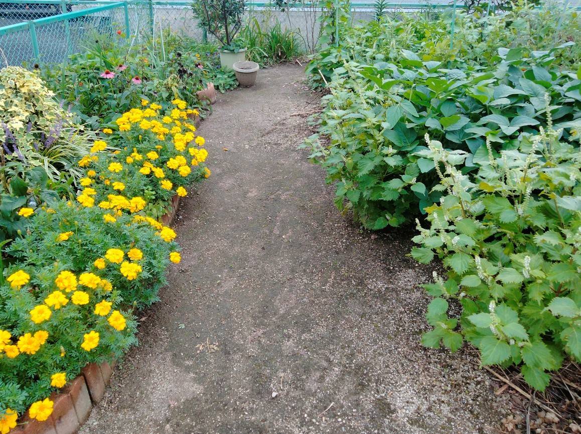 通路と花壇をレンガで区切った家庭菜園