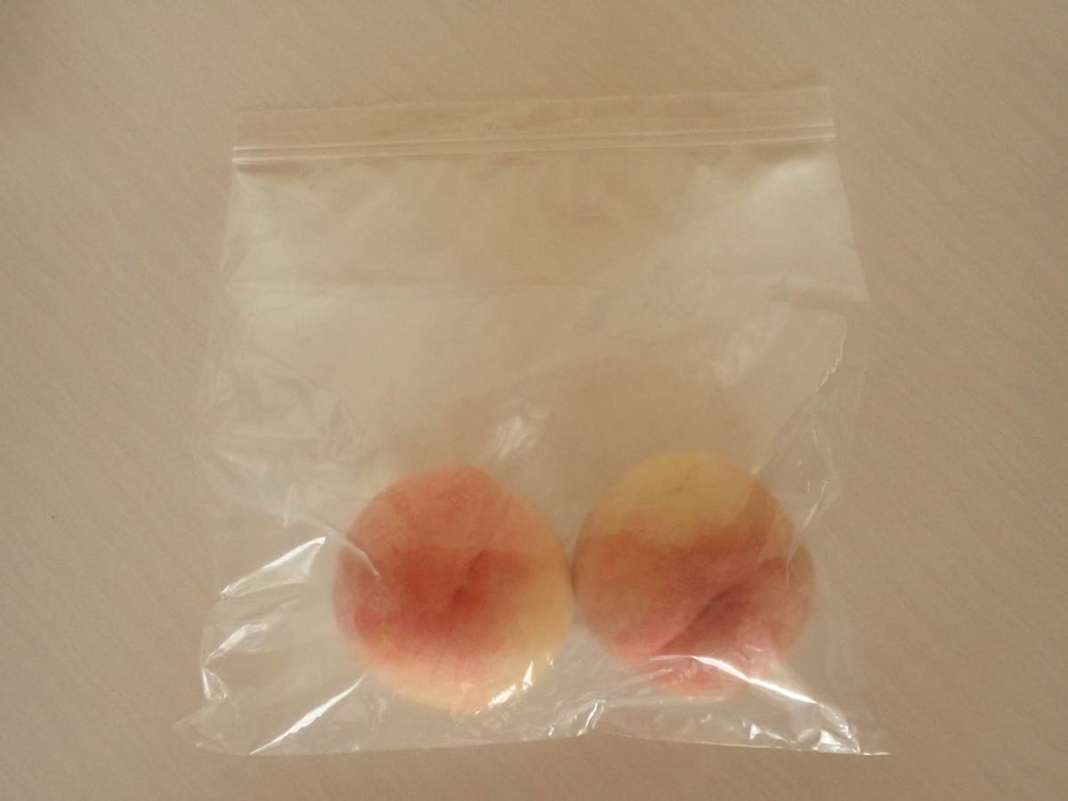 ダイソー：鮮度保持袋(ジッパー付、Lサイズ、3枚)