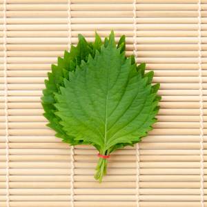 言葉にならないほどウマいよ。本当は教えたくない「大葉」の簡単レシピ