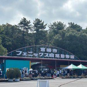 【宮崎県】遊園地エリアもあるから1日遊べる♪自然いっぱいの動物園