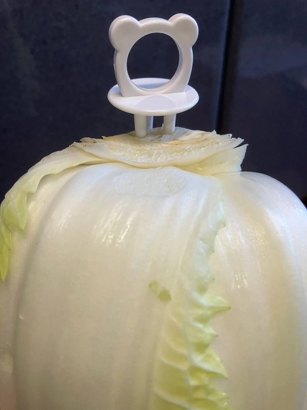 ダイソー:野菜フレッシュキーパー(くま、2個)