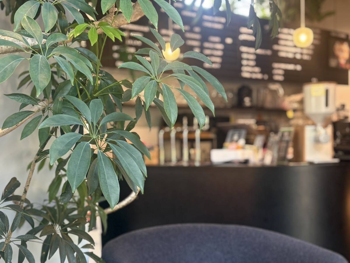 BROOKS GREENLIT CAFEの内観