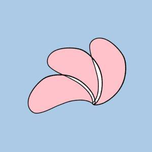 【心理テスト】この画像何に見える？「大変身するコツ」が分かる診断