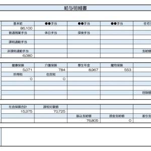 【リアル給与明細】51歳、事務職。豊かに暮らすには収入が足りない……。障がいがあってもできる副業は？