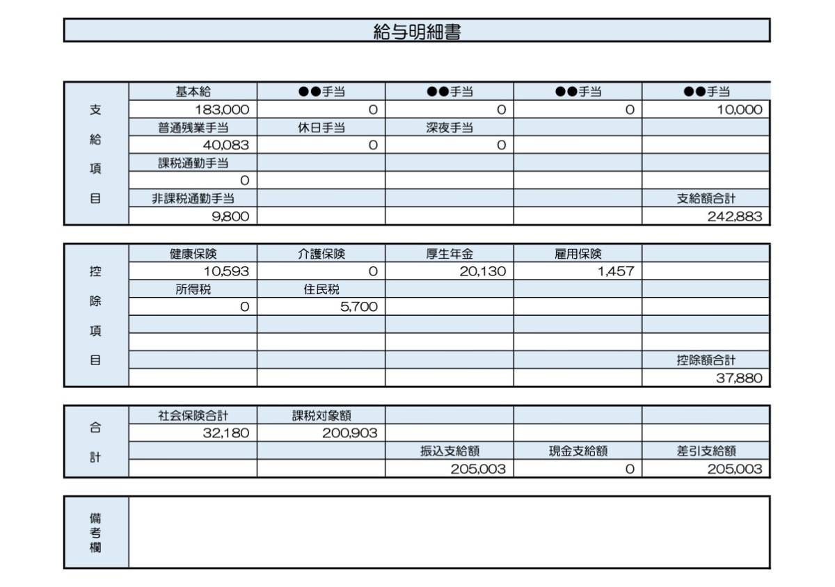 22歳、システム開発の給与明細