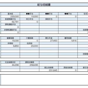 【リアル給与明細】デザイナー。ボーナスはあるけど基本給が低い……。計画的に貯蓄を増やすには？