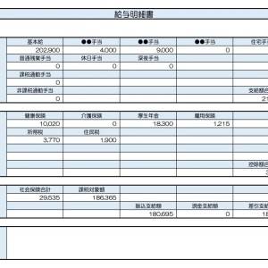 【リアル給与明細】医療事務。収入のほとんどが生活費に回ってしまう。貯蓄のために保険を見直すべき？
