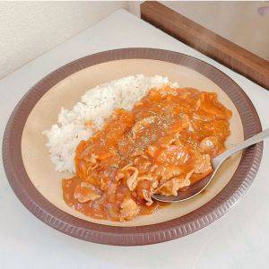 【イオン】もっと早く知りたかった!マニアが確保したいハヤシライス