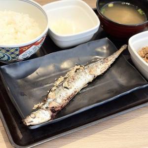 【吉野家】「最高の組み合わせ」「お腹も心も満たされる」SNSでも大絶賛の新作定食が発売中だよ！