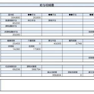 【リアル給与明細】IT業。転職で給料は上がったものの上手く管理できない……。貯金を増やすためには？