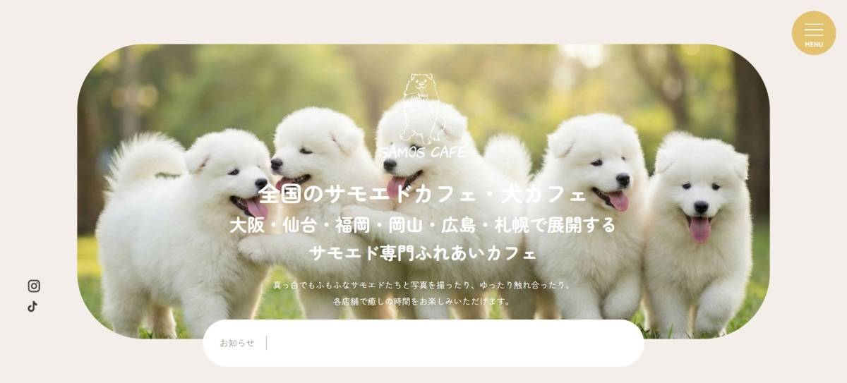 サモエドカフェ SAMOYED PARK